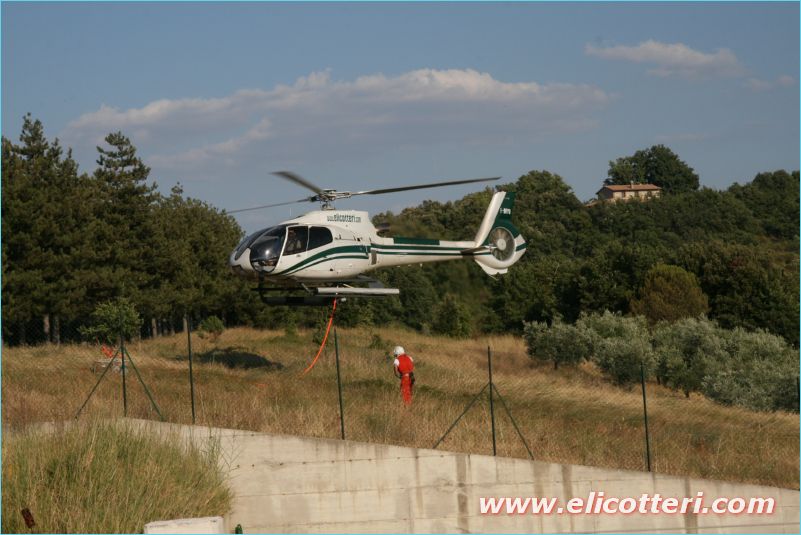elifoto (152)